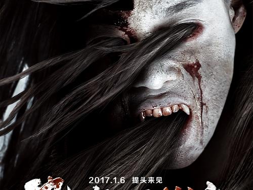 代办仿真宅基地使用证